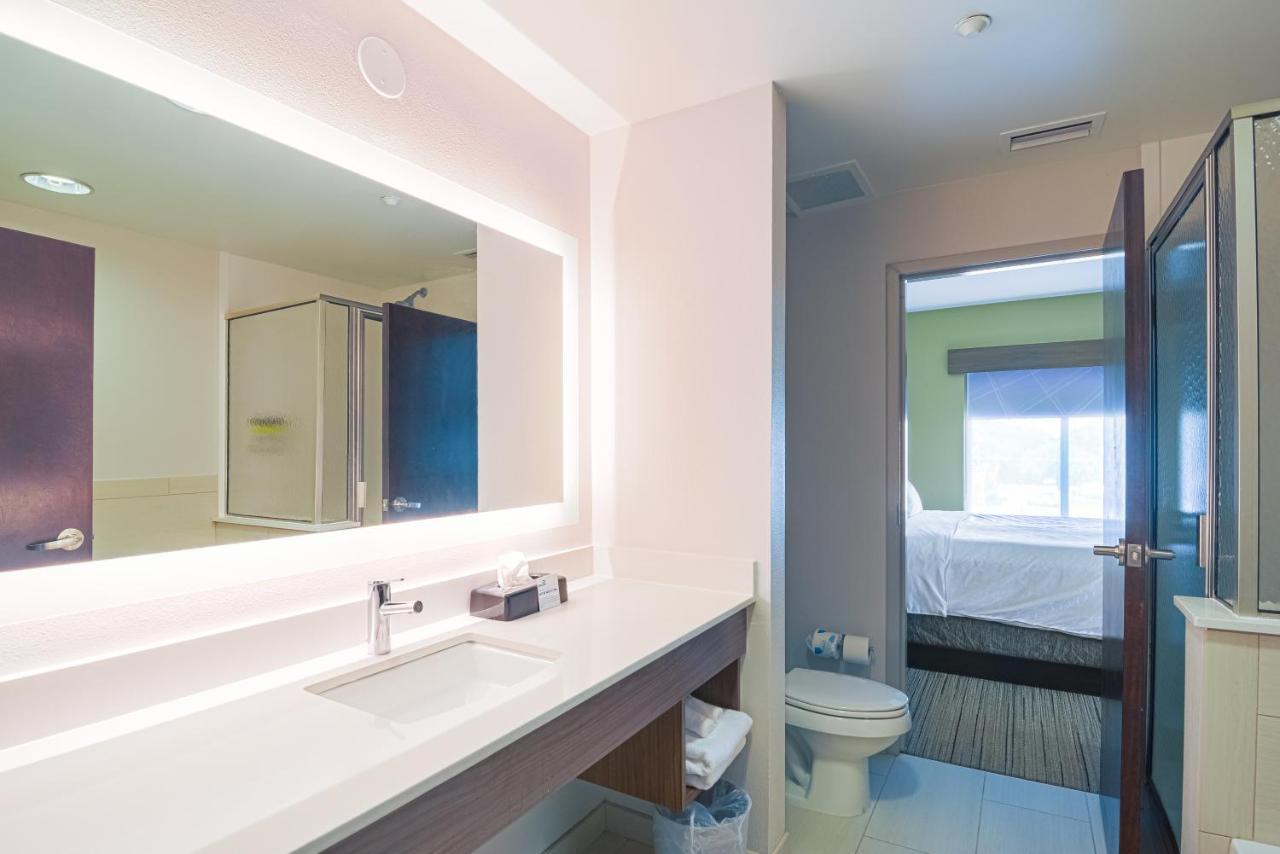 Hotel Express & Tampa-usf-busch Gardens By Ihg