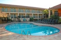 Express & Tampa-usf-busch Gardens By Ihg Hotel 2*