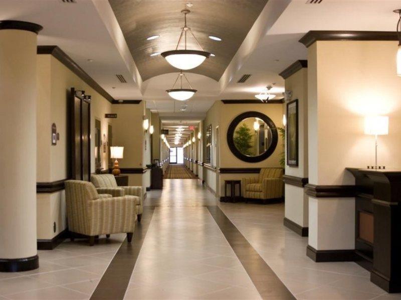 Express & Tampa-usf-busch Gardens By Ihg Tampa